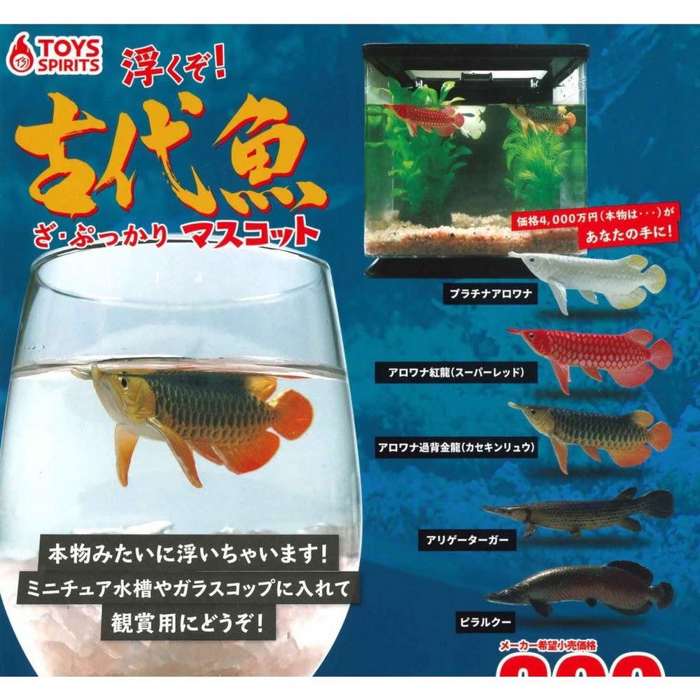 古代魚 全5種 扭蛋 Mr Toyland