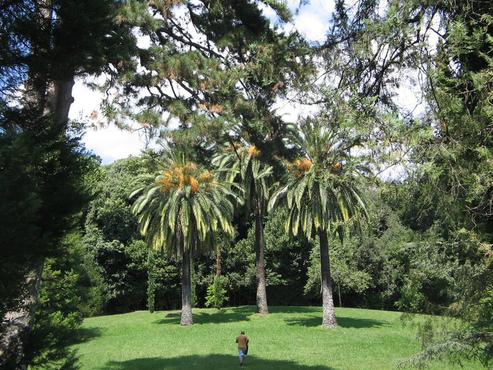 Immensità della natura di Ammirato