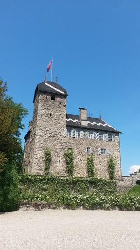 Schloss Buonas