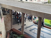 There was 'chaos' at the basic education department's offices in Pretoria on Monday during protests about pupil placements.