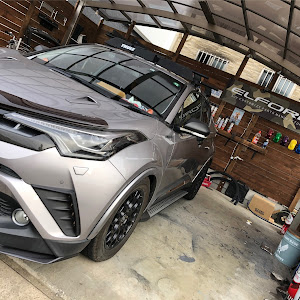 C-HR ZYX10