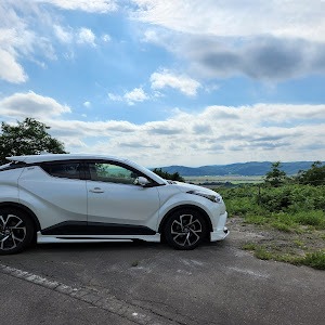 C-HR NGX50