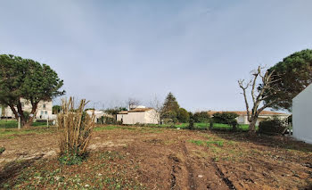 terrain à Saint-Palais-sur-Mer (17)