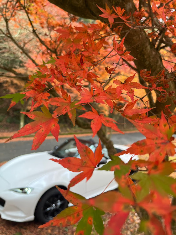 ロードスターのyuukiさんが投稿したカスタム事例の投稿画像2枚目