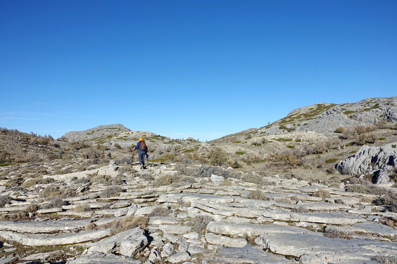 Pinsapar de la Cañada del Cuerno - Cerro de la Alcazaba - Pinsapar de la Cañada de las Animas