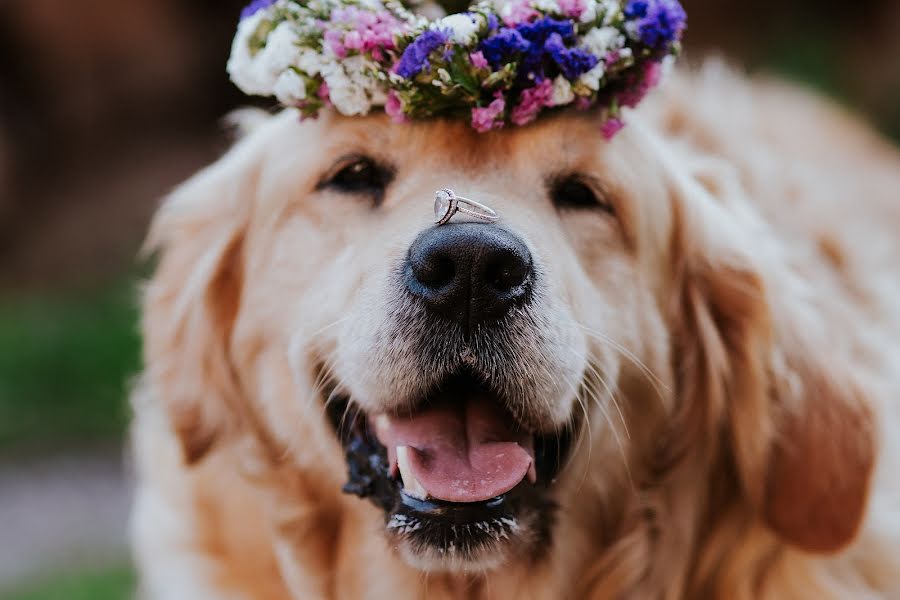 Vestuvių fotografas Birtalan Barna (birtalanfoto). Nuotrauka 2019 rugpjūčio 27