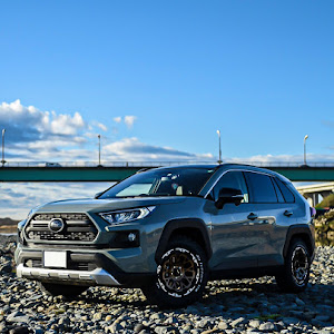 RAV4 MXAA54