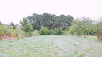 terrain à Saint-andre-des-eaux (44)