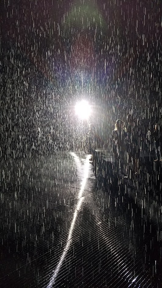 Rain Room by art collective Random International. The timed tickets limited viewers to a small group for 15 minutes. During that time, the audience is treated to a dark room illuminated with dramatic spotlight and torrents of rain controlled by technology that senses where a person is and makes it stop raining where you stand but continues to fall around you.