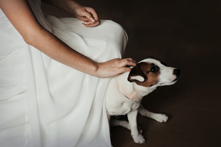 Fotógrafo de casamento Valeriya Soldatova (lavrforlove). Foto de 22 de outubro 2015