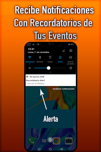 Mi Agenda Personal 2020