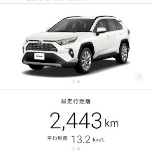 RAV4 MXAA54