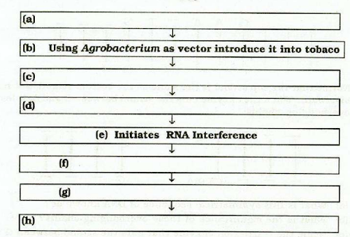 Biotechnological Applications in Agriculture