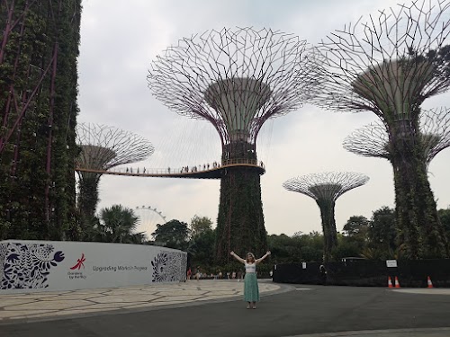 Malasia y Singapur en 12 días. Septiembre 2019 - Blogs de Asia Sudeste - Un día en Gardens by the Bay (31)