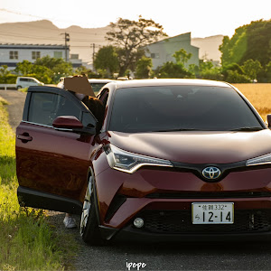 C-HR ZYX10