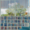 Item logo image for A Bookshelf by a Glass Window