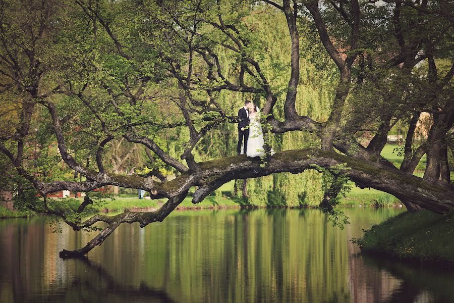 Fotógrafo de casamento Dominik Musiałek (musialekdominik). Foto de 8 de fevereiro 2021