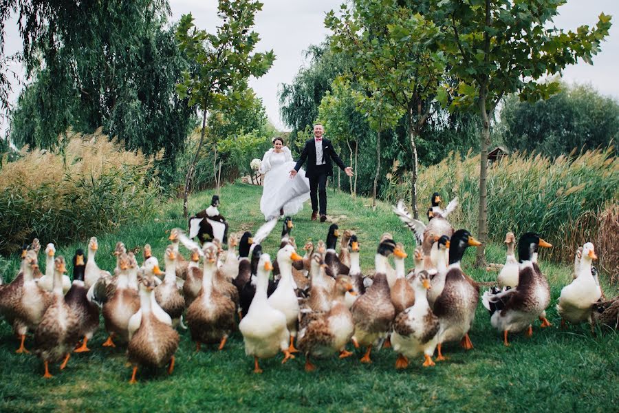 Fotografo di matrimoni Barna Bóna (bonabarna). Foto del 22 luglio 2019