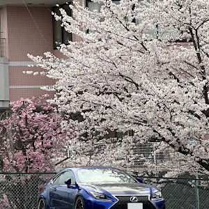RC ASC10