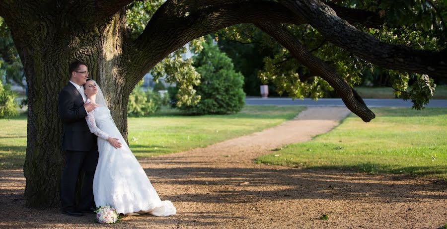 Wedding photographer László Zombori (zombori). Photo of 24 February 2019