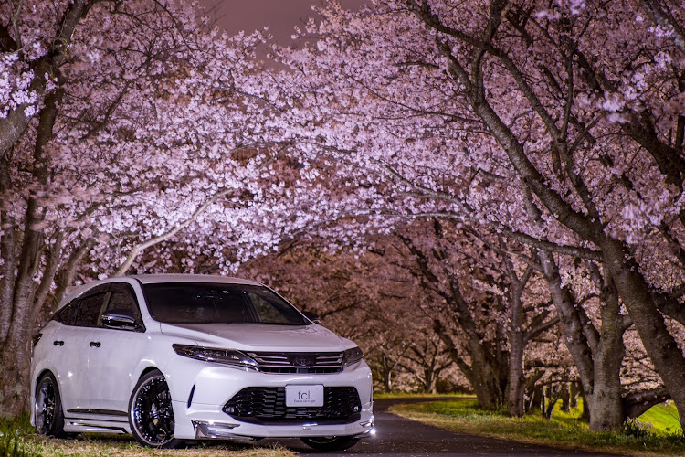 アルファードのdiscover_ct・ヴェルファイア・ハリアー・夜桜コラボ・桜とコラボに関するカスタム事例の投稿画像4枚目