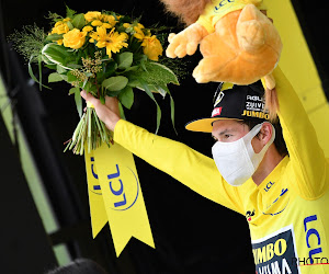 Roglic als favoriet na de Pyreneeën nu ook aan de leiding: "Je staat niet elke dag in het geel"