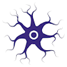 IQ Competition - Brain Duel icon