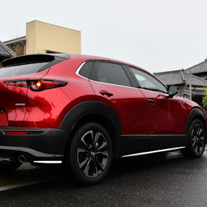 CX-30 DM8P