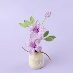Purple Clematis Potted Plants