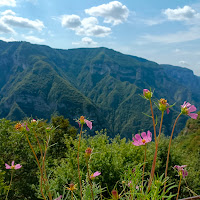 Fiori,monti cielo  di 