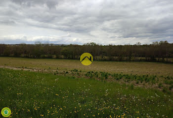 terrain à Saint-Georges-sur-Moulon (18)