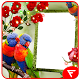 Download Rainbow Lorikeet Insta DP For PC Windows and Mac 1.0