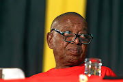 SACP general secretary Blade Nzimande is calling  for a review of the alliance and for the SA Communist Party to play a greater role in the government.