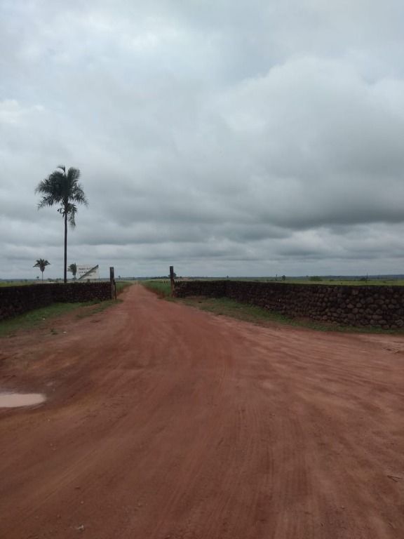 Fazendas à venda Centro