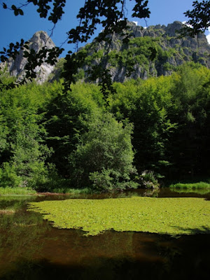 Il silenzio del lago di bigpapo58