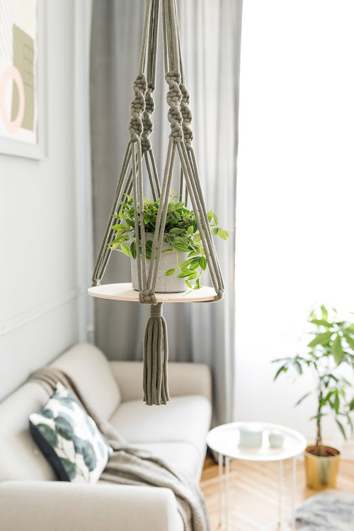 Hanging macrame planters are having a moment.