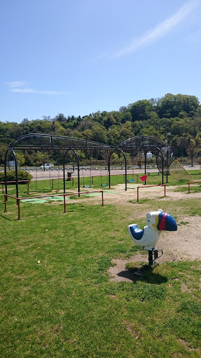 スポーツ公園のモグラ