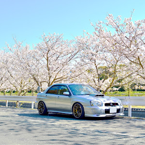 インプレッサ WRX STI GDB