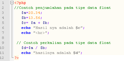 5 Contoh Jenis Data Untuk Float