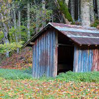 Capanna di legno di Blondy