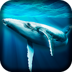 Cover Image of 下载 Ocean Whale Simulator 3D 1.1 APK