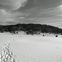 Tutti verso la stessa cima di 