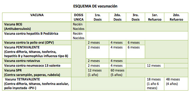 1 ¿qué Es Un Esquema De Vacunación VacunaciÓn Para Las Enfermedades