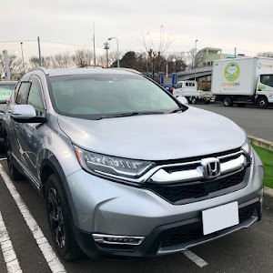 CR-V RT6