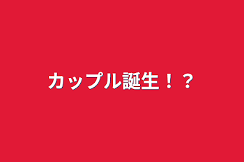 カップル誕生！？