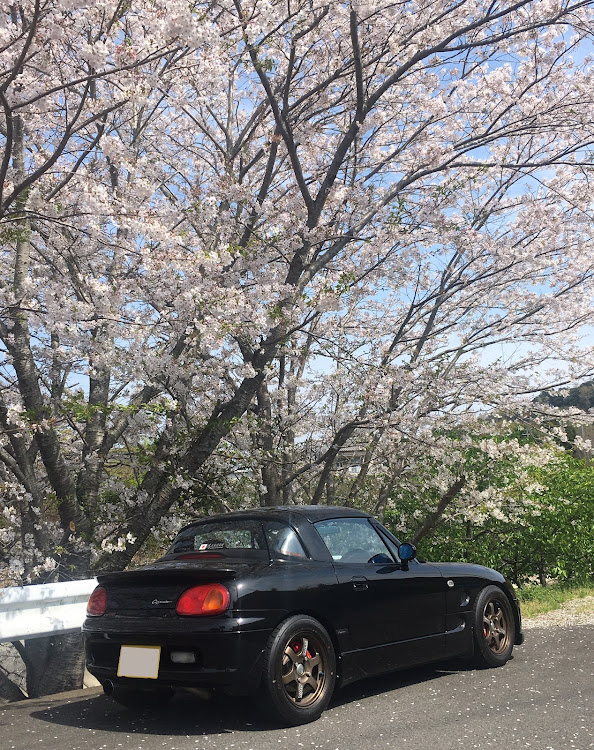 カプチーノの桜とコラボに関するカスタム事例の投稿画像3枚目
