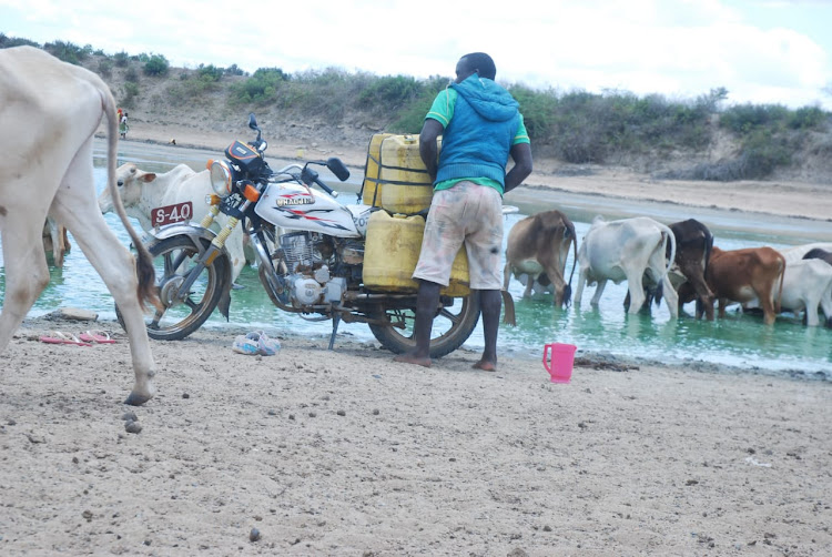 A resident fetches contaminated water in Samburu, Kwale county in October, 2021.