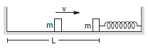 Spring-mass system