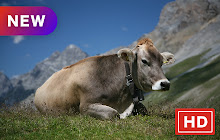 Cow New Tab Page HD Wallpapers Themes small promo image