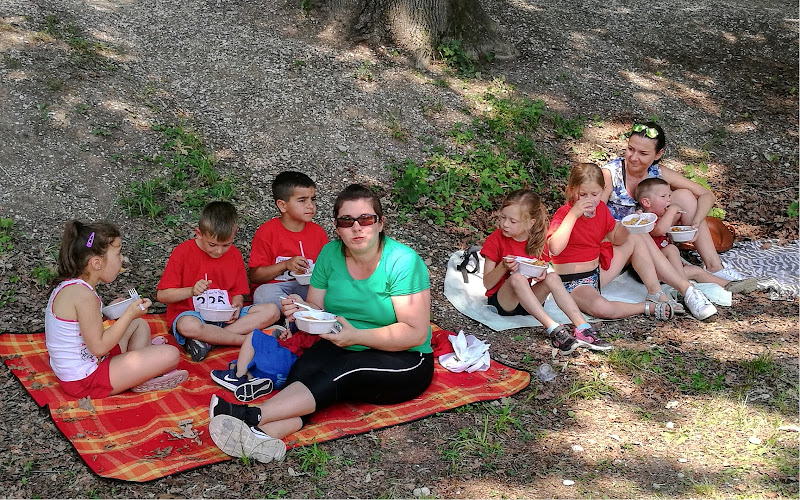 Picnic in compagnia di bepi1969